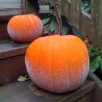 Frost on the Pumpkin